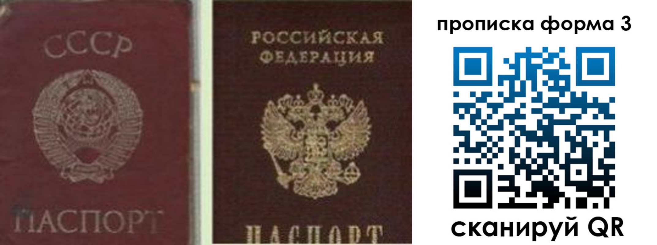 прописка для работы в Гусь-Хрустальном